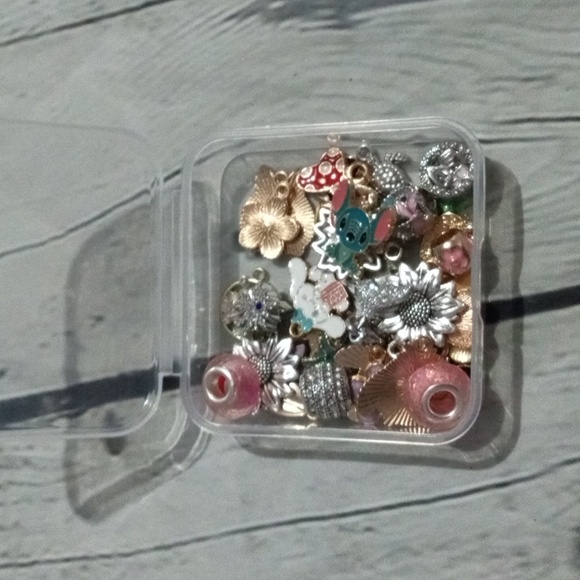 Charms - Picture 1 of 2
